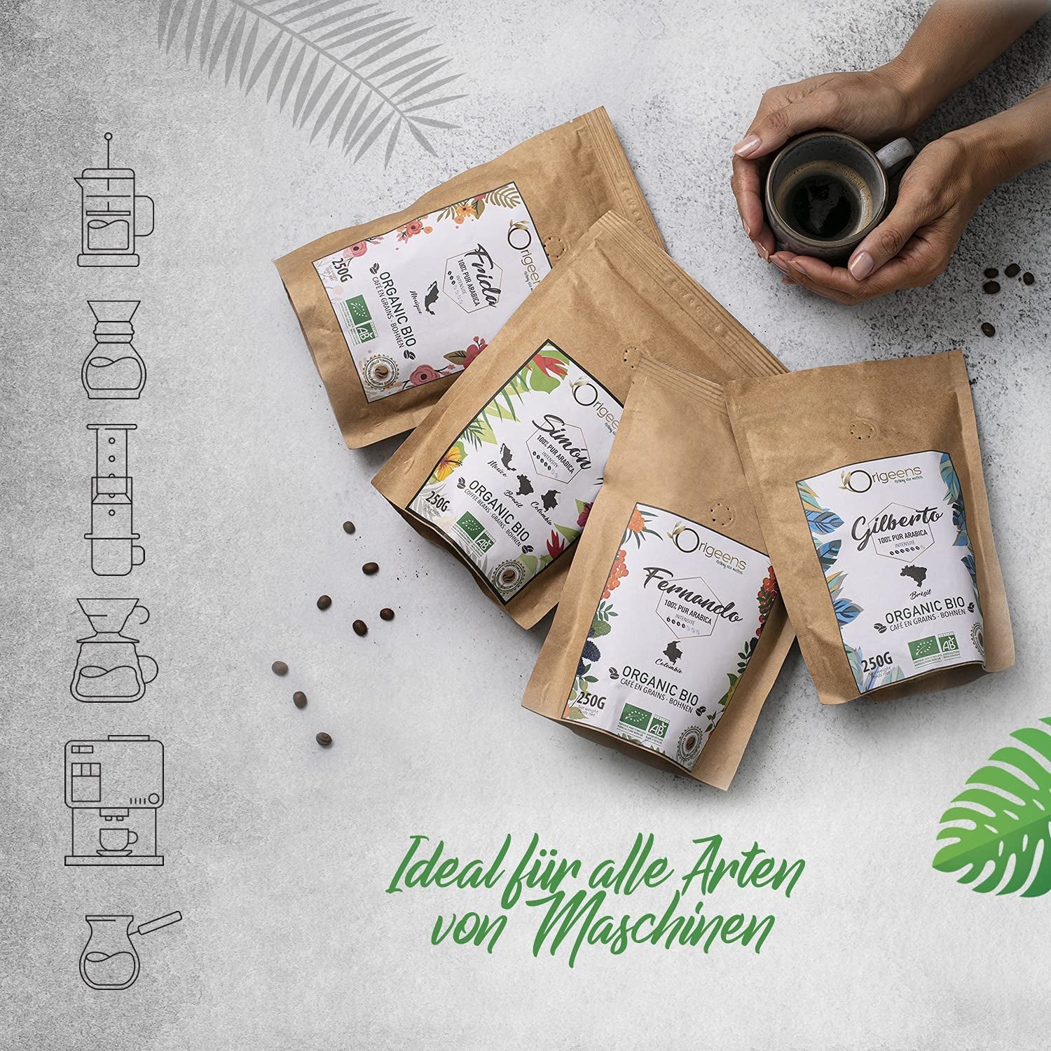 ORIGEENS Bio Kaffeebohnen Probierset 1kg | Premium Bio Arabica Kaffee Ganze Bohnen Set 4x250g | Tradiční Röstung | Kaffee Geschenkset