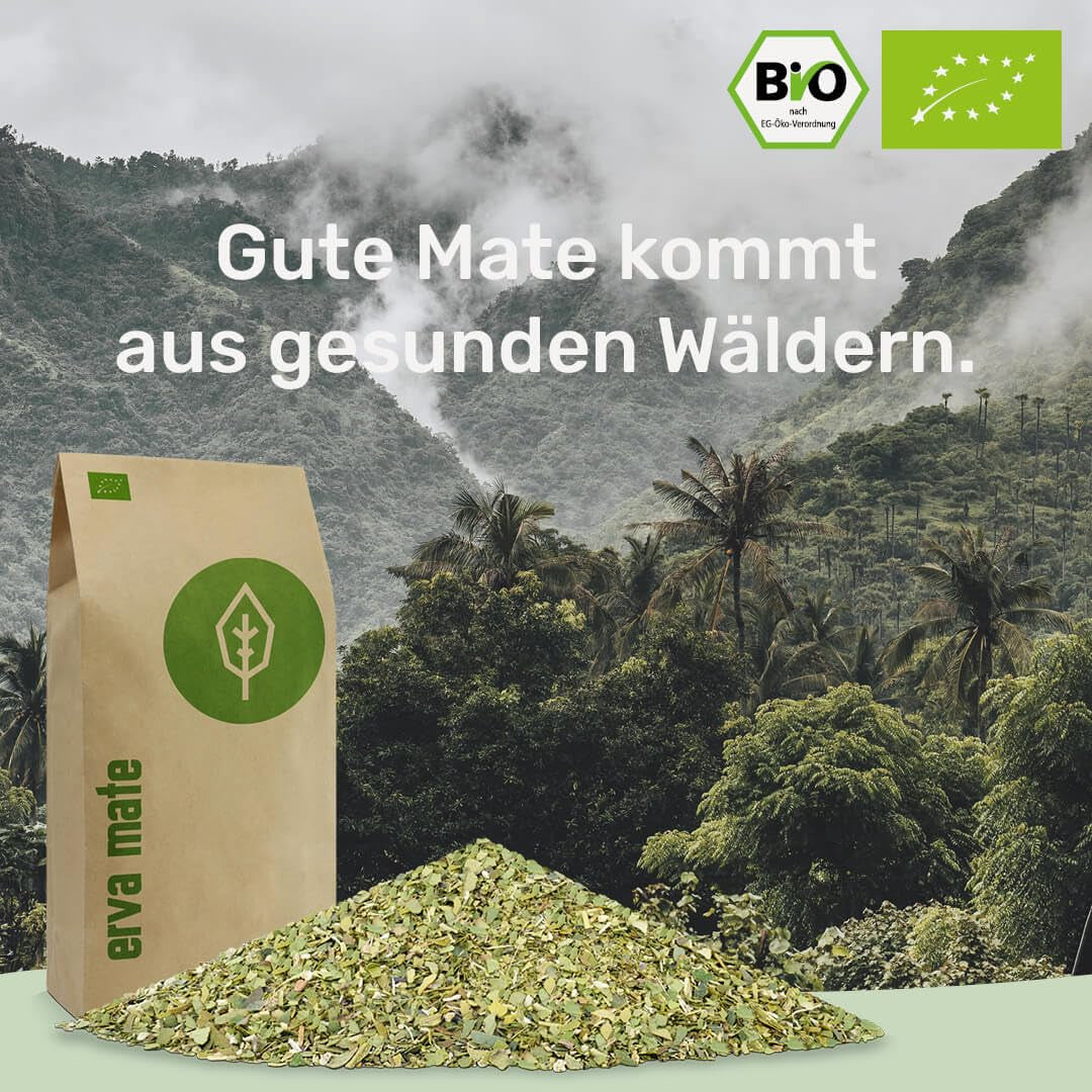 Degustační sada čaje maté ● 4 druhy organického čaje maté ● 100 g Erva maté + Yerba maté + zelený čaj maté + pečený čaj maté