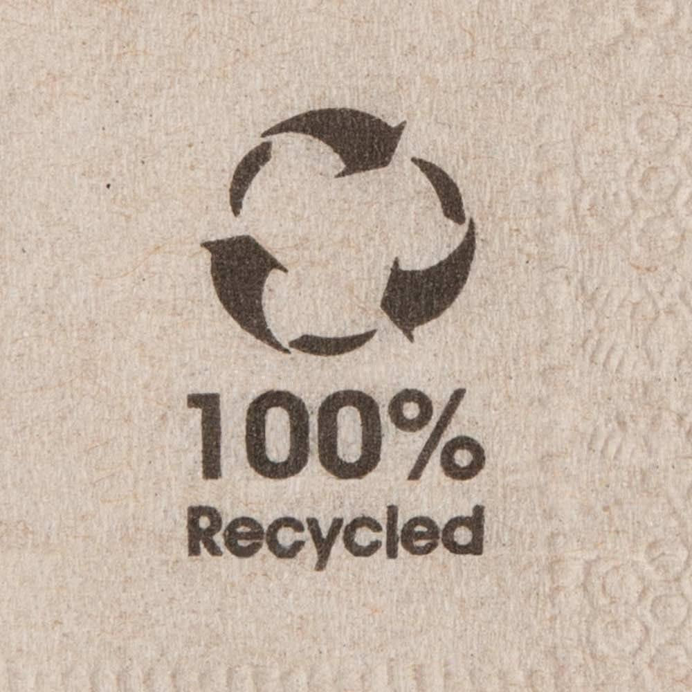 Ekologické ekologické ubrousky vyrobené z recyklovaného papíru I Vysoce kvalitní papírové ubrousky 10 X 10 cm I 100 kusů Koktejlové ubrousky Nebělené Biologicky rozložitelné Kompostovatelné