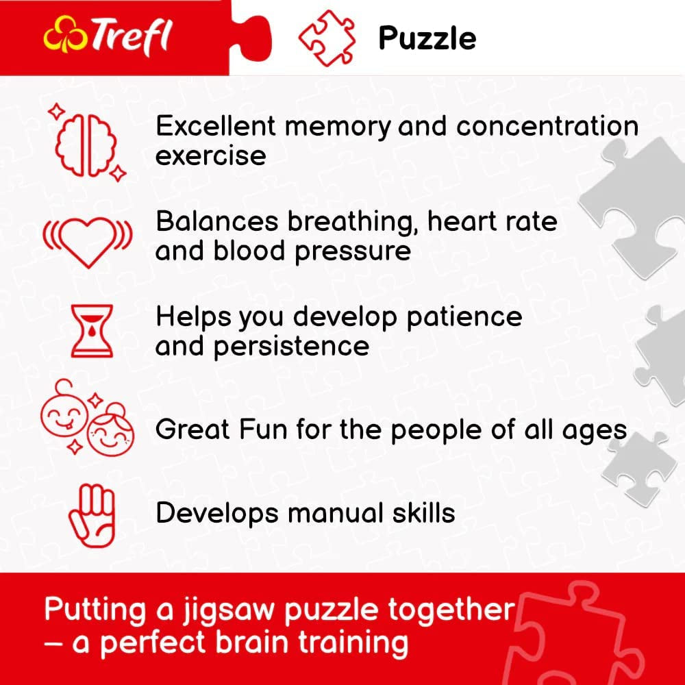 Trefl TR10461 Samudra Beach, Indie 1000 dílků prémiové kvality pro dospělé a děti 12+ puzzle, barevné puzzle Naty Shop