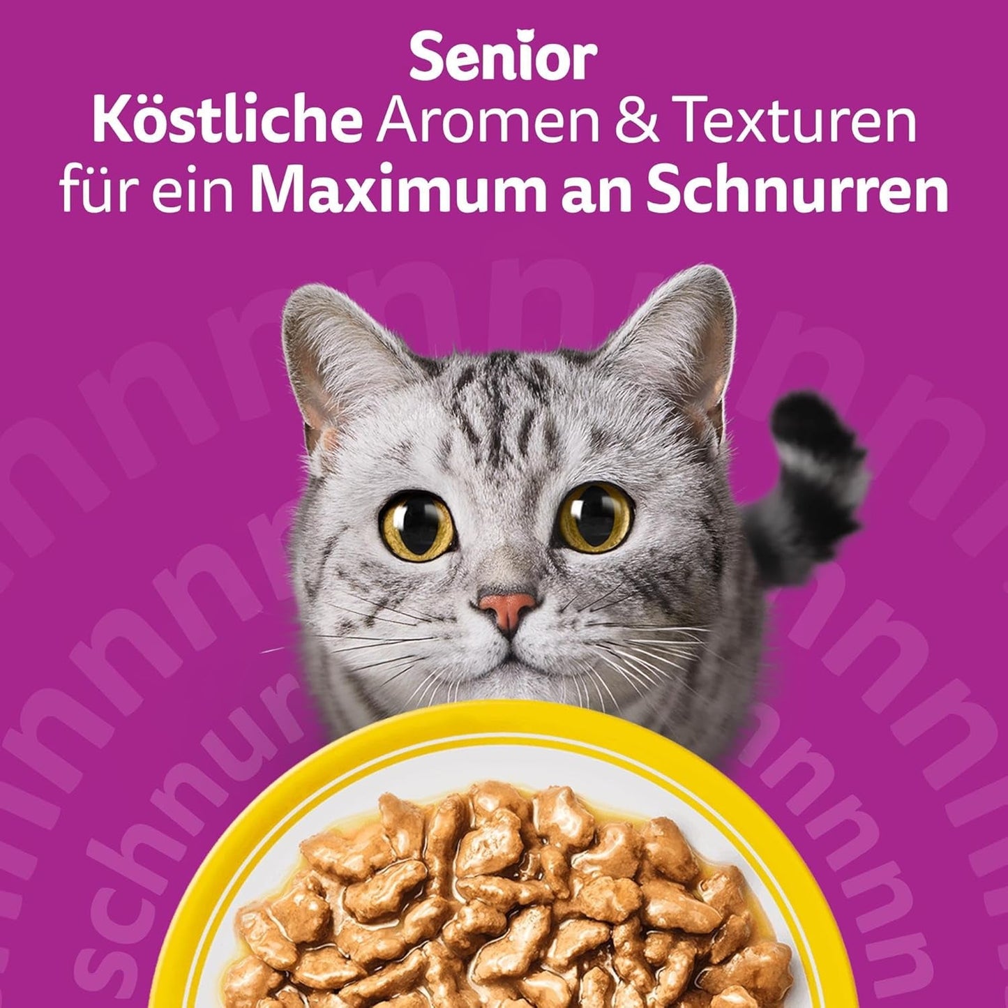 Whiskas 7+ Mokré krmivo pro kočky Výběr z drůbeže v omáčce 24 x 85 g (2 balení) - Vysoce kvalitní mokré krmivo od 7 let ve 48 porcích