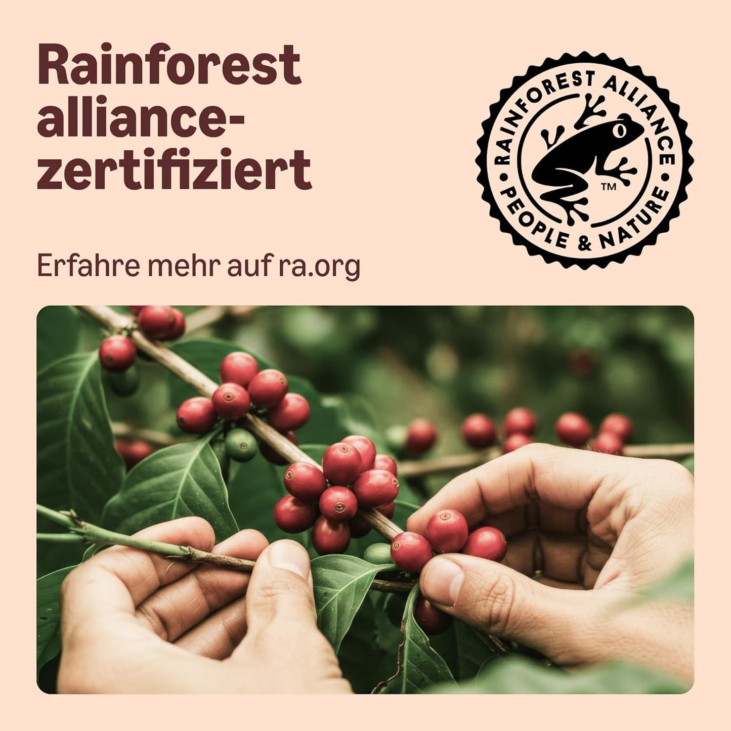 Od Amazon Heimkompostierbare Kaffeekapseln, kompatibel s Nespresso, 100 % kolumbianischer Arabica, 20 Stück – Rainforest Alliance-zertifiziert