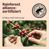 Od Amazon Heimkompostierbare Kaffeekapseln, kompatibel s Nespresso, 100 % kolumbianischer Arabica, 20 Stück – Rainforest Alliance-zertifiziert
