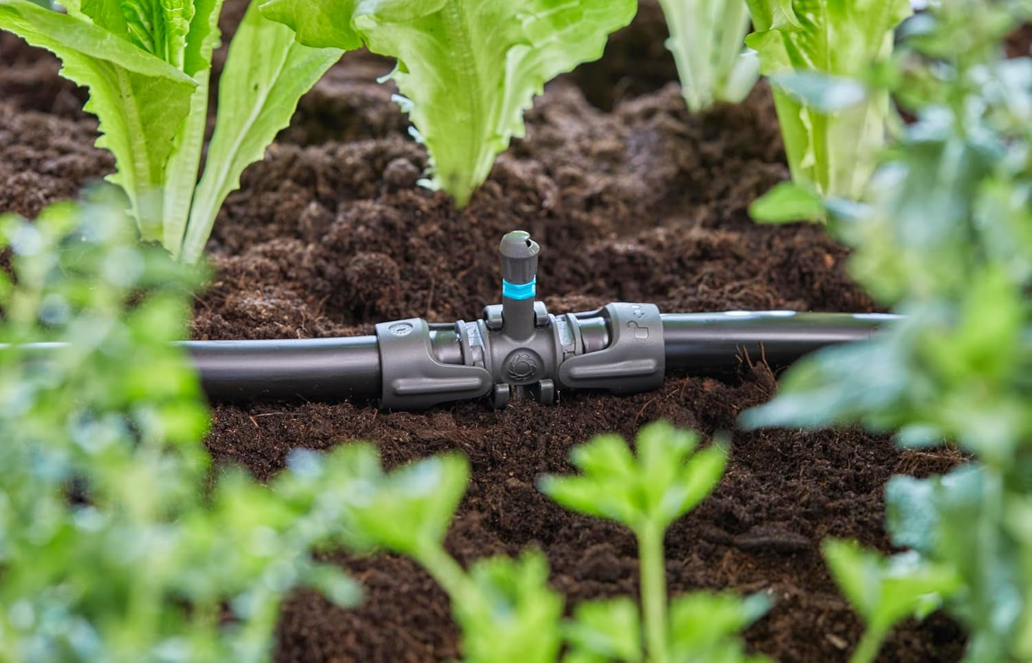 Gardena Micro-Drip-System T-kus pro rozprašovací trysky: Spojení mezi 13 mm trubicí a rozprašovací tryskou, automatické zavlažování rostlin, rychlé a snadné připojení, opakovaně použitelné (13206-20)