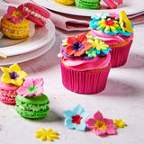 Funcakes Purple Food Color Gel: Vysoce koncentrovaná potravinářská barva na těsto, krém, fondán, marcipán, pečivo, snadné dávkování, jednotlivé kapky pro vytvoření zářivých barev, Halal, 30 g