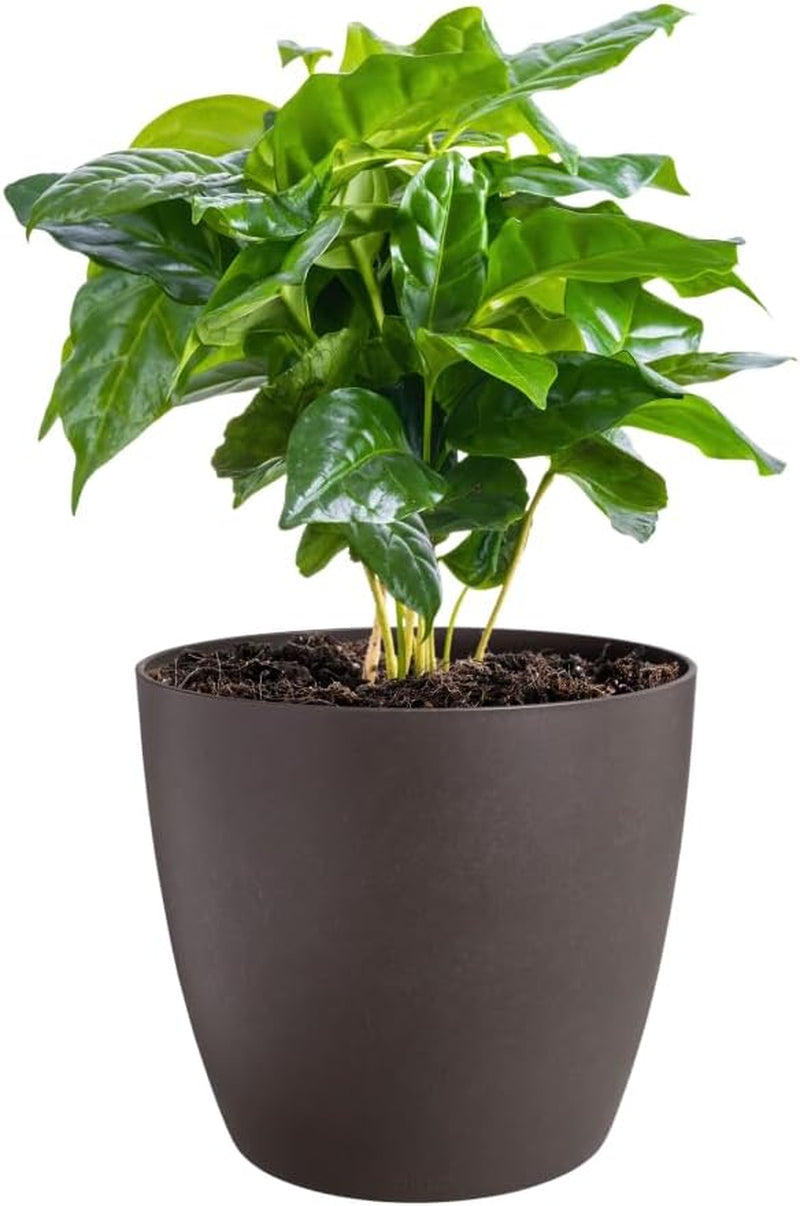 elho The Coffee Collection, kulatá vnitřní konvička, 18 cm, z kávové sedliny a recyklovaného plastu - hnědá/espresso hnědá