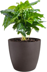 elho The Coffee Collection, kulatá vnitřní konvička, 18 cm, z kávové sedliny a recyklovaného plastu - hnědá/espresso hnědá