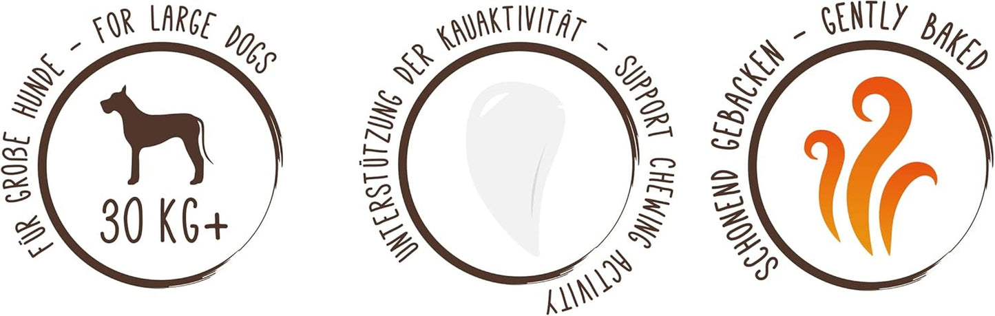 Sammyho müsli mince | Křupavé pečené svačiny pro psy | 5 obilných müsli mincí pro vašeho velkého chlupatého přítele (30 kg+) | 1 kg