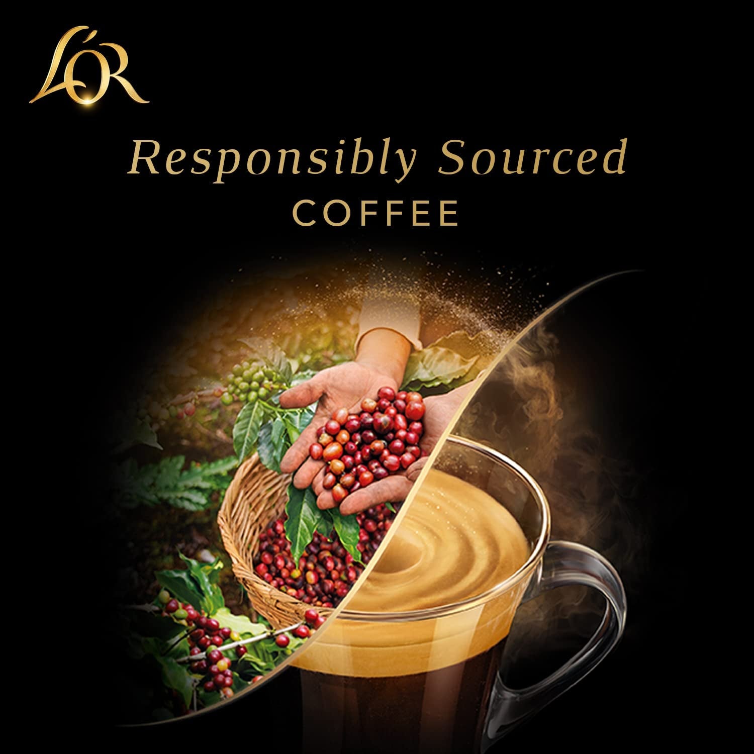 L'OR Barista Kaffeekapseln Ristretto, exkluzivně pro L'OR Barista Maschinen, 5er Pack, 5 x 10 kapsel