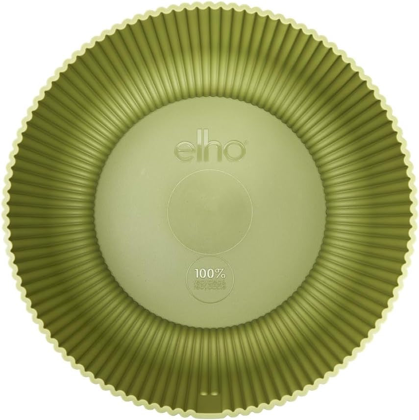 elho Vibes Fold Bowl 25 - Vnitřní květináče - 100% recyklovaný plast - Ø 24,9 x V 12,1 cm - Zelená/Ferngrün