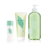 Elizabeth Arden Green Tea, osvěžující tělové mléko se zeleným čajem pro ženy, 200 ml Cosmetics and Beauty Naty Shop Set se sprchovým gelem + deodorant krém