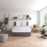 Traumnacht Green Basic Pillow Set sestávající ze dvou polštářů 80 X 80 Cm, certifikováno Oeko-Tex, vyrobeno podle německého standardu kvality Naty Shop standardní polštáře 80 X 80 Cm
