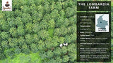 Káva Iguaque 1000gr | Premium Kaffee ganze Bohnen 100% Arabica z Kolumbie | Familienbetrieb - Single Origin Kaffeebohnen - Nachhaltige eigene Plantage im Hochland - Kräftiges Aroma