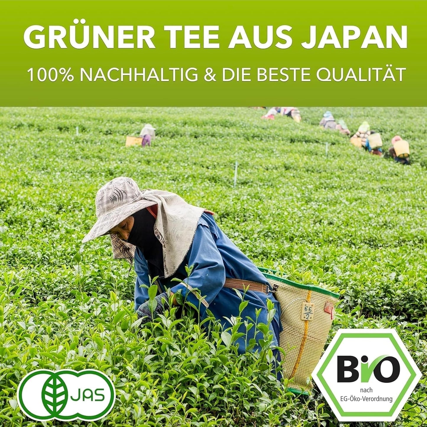Matchamagic - Bio prášek matcha latte z Japonska s cukrem z kokosových květů pro lahodný čaj
