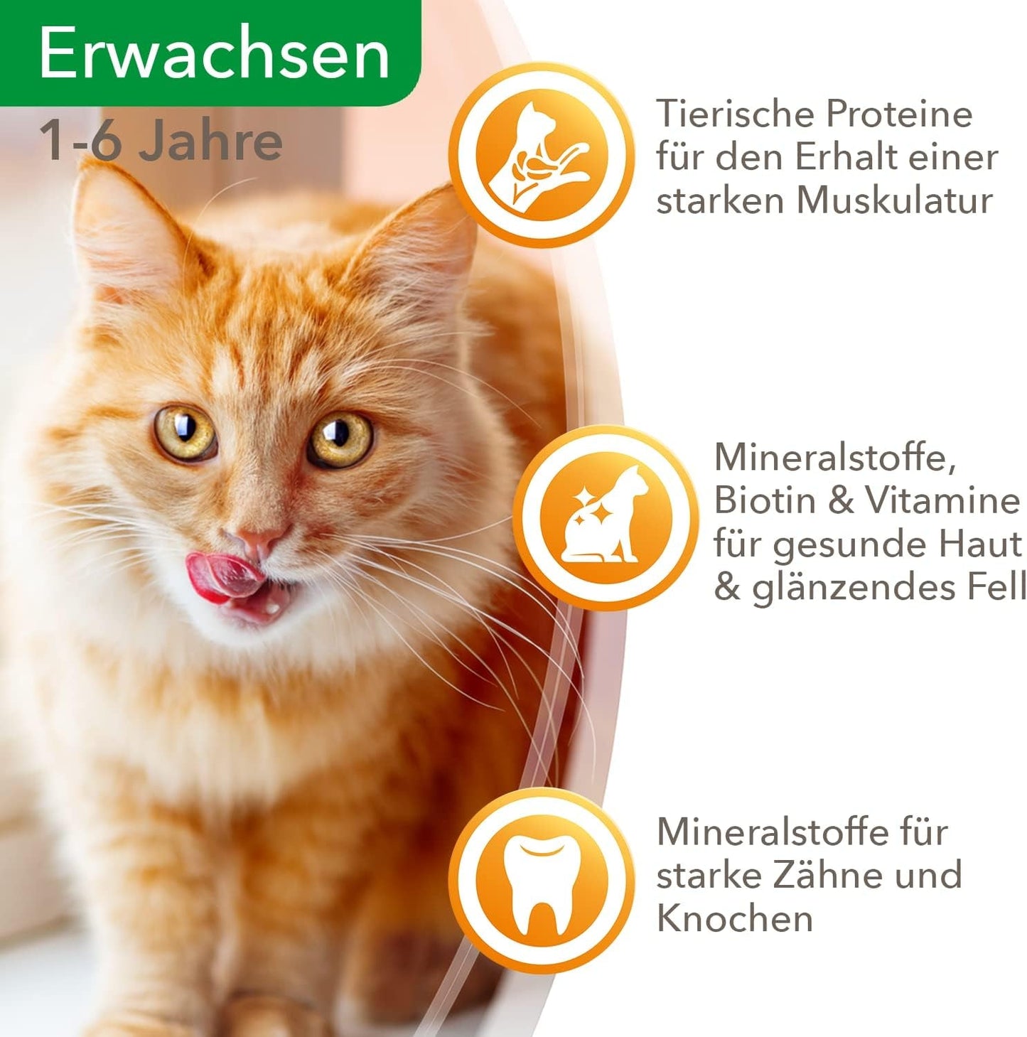 IAMS Delights Mokré krmivo pro kočky se šťavnatým hovězím masem a želé mrkví – kompletní mokré krmivo pro dospělé kočky, 24 sáčků x 85 g
