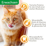 IAMS Delights Mokré krmivo pro kočky se šťavnatým hovězím masem a želé mrkví – kompletní mokré krmivo pro dospělé kočky, 24 sáčků x 85 g