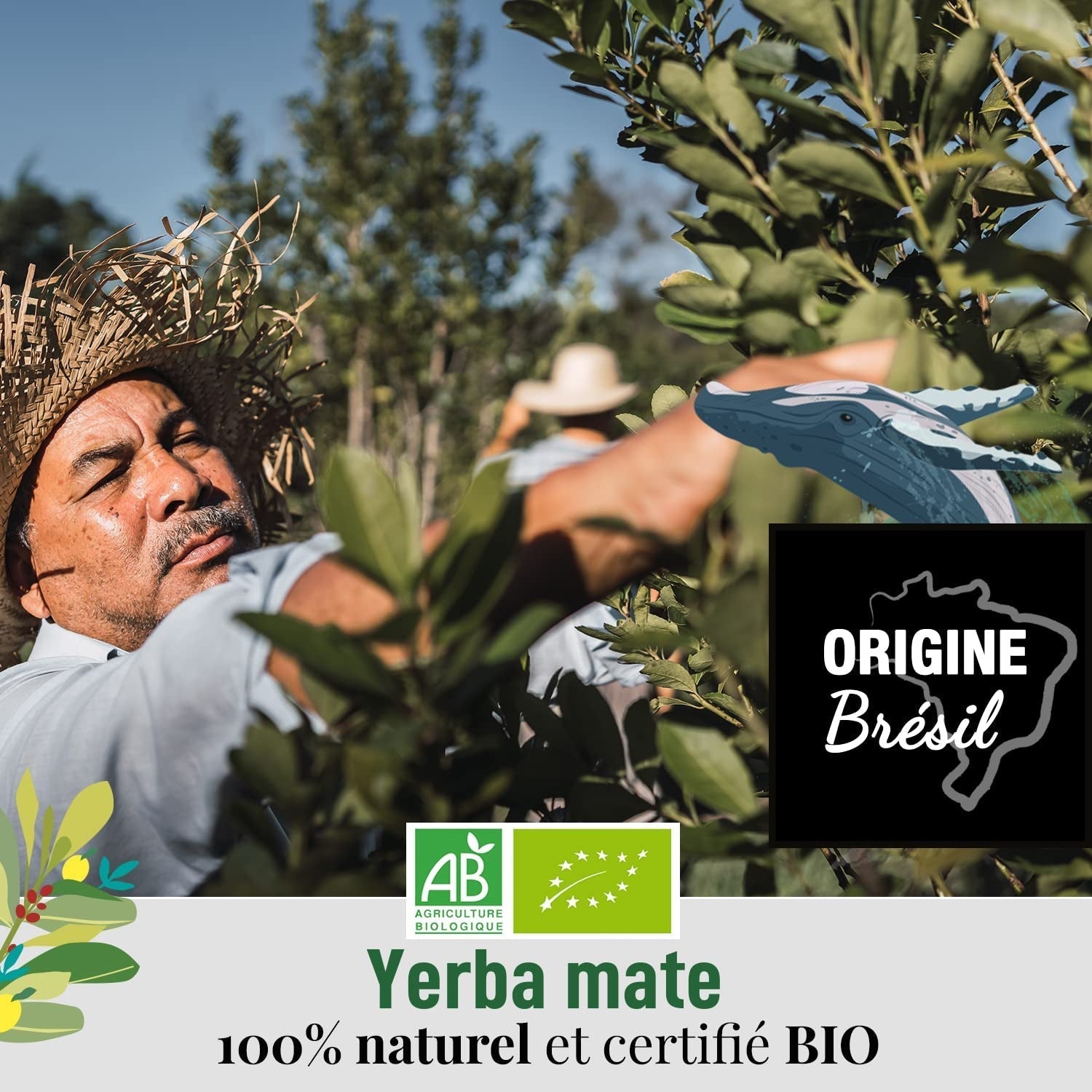 ORIGEENS BIO YERBA MATE S MÁTOU A CITRONEM 200 G - Čerstvost I Nepražené Bio Yerba Maté, listy, bez stonků a prachu