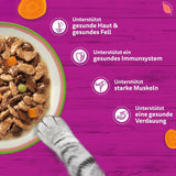 CHUTNÁ MIX WHISKAS Nassfutter v omáčce für Katzen 40 x 85 g Chef's Choice