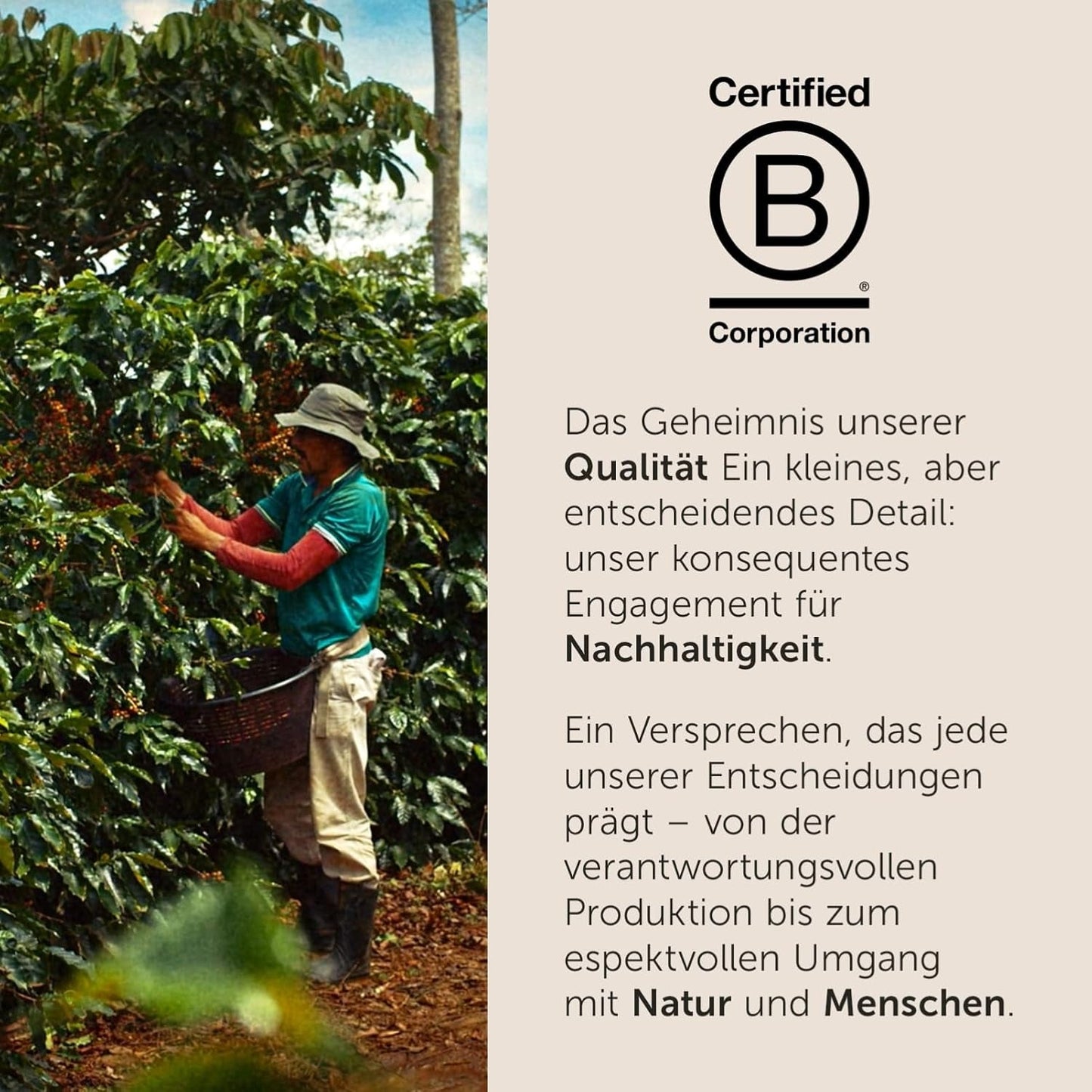illy, kompatibilní Aluminium-Kaffeekapseln CLASSICO, 100 % Arabica s tóny pomerančových květů a jasmínu, sladká chuť a sladká dochuť, 10 balení po 10 kapslích (celkem 100)