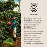 illy, kompatibilní Aluminium-Kaffeekapseln CLASSICO, 100 % Arabica s tóny pomerančových květů a jasmínu, sladká chuť a sladká dochuť, 10 balení po 10 kapslích (celkem 100)