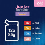 Felix Tak dobře, jak to vypadá Junior Mokré krmivo v želé pro koťata, různé směsi, balení 6 ks (6 x 12 sáčků po 85 g)