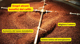 Caffè New York - XXXX - Celozrnná káva - 1000g