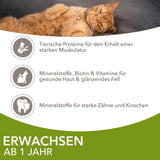 IAMS Delights Land Collection Mokré krmivo pro kočky - Multibalení s různými druhy masa (jehněčí, hovězí, kuřecí a krůtí) v omáčce, vlhké krmivo pro kočky od 1 roku, 12 x 85g