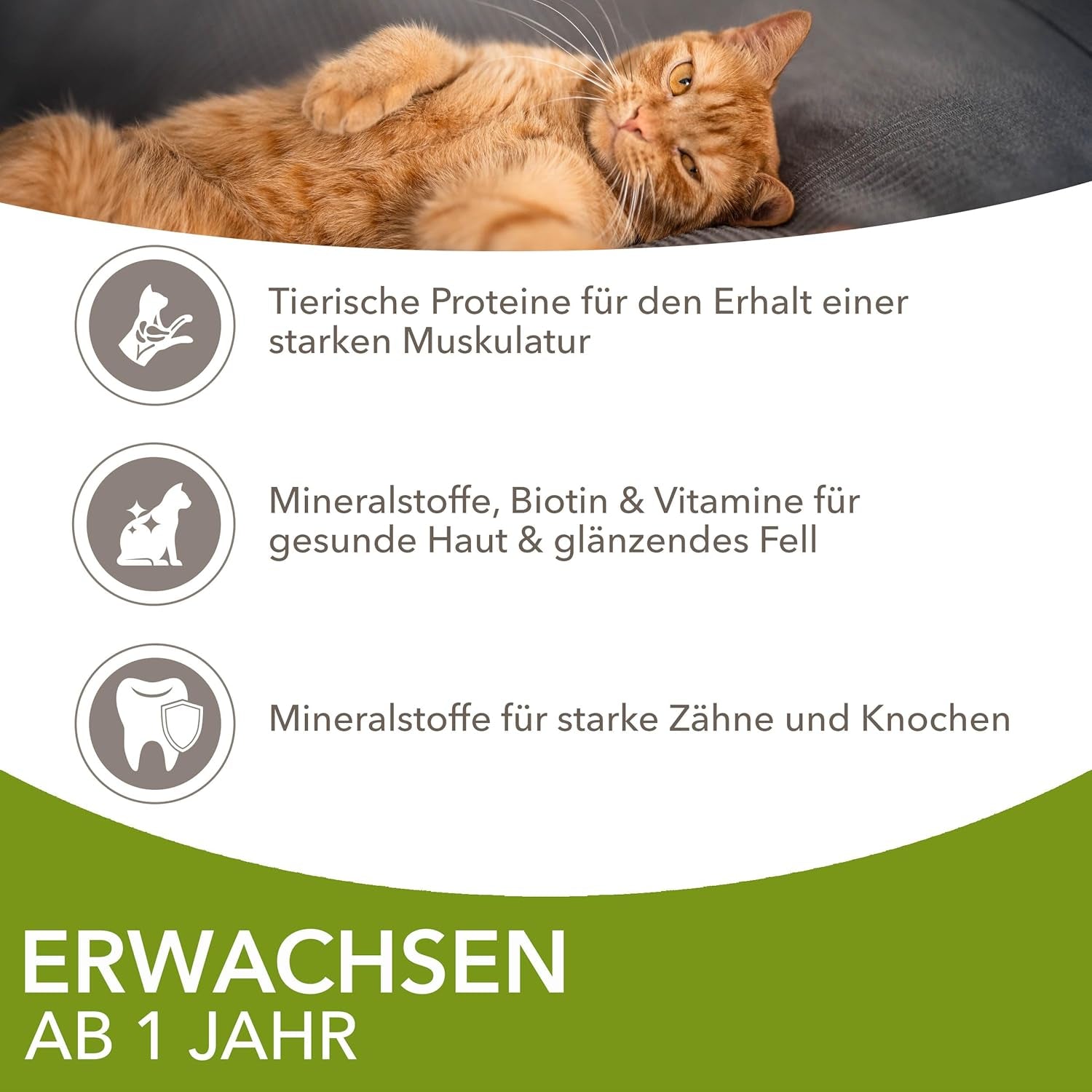 IAMS Delights Land Collection Mokré krmivo pro kočky - Multibalení s různými druhy masa (jehněčí, hovězí, kuřecí a krůtí) v omáčce, vlhké krmivo pro kočky od 1 roku, 12 x 85g