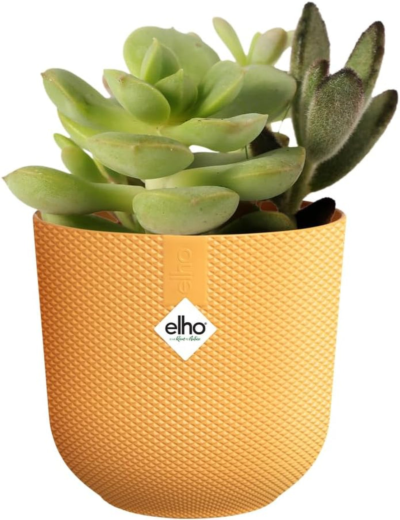 elho Jazz Round Mini 7cm - Pokojové květináče - 100% recyklovaný plast - Ø 7 x V 6,5 cm - Žlutá/jantarová