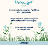 Almo Nature Functional Urinary Help - Nassfutter für ausgewachsene Katzen mit Fisch - Unterstützung für die Gesundheit der Harnwege - 30 sáčků à 70g