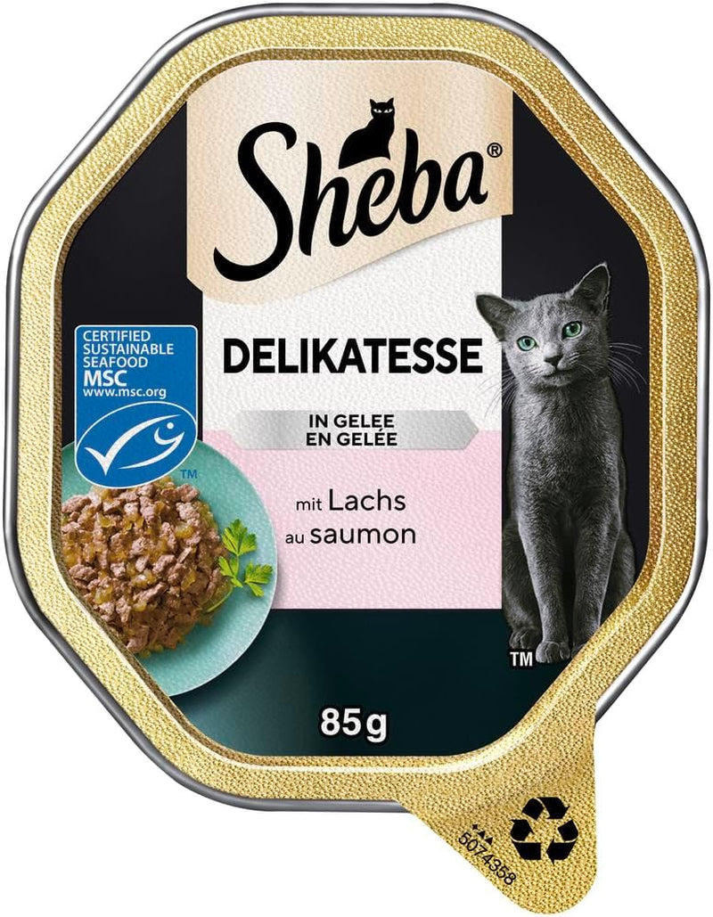 Sheba Mokré krmivo pro kočky, delikatesy v lososovém želé, 2 x 11 x 85 g