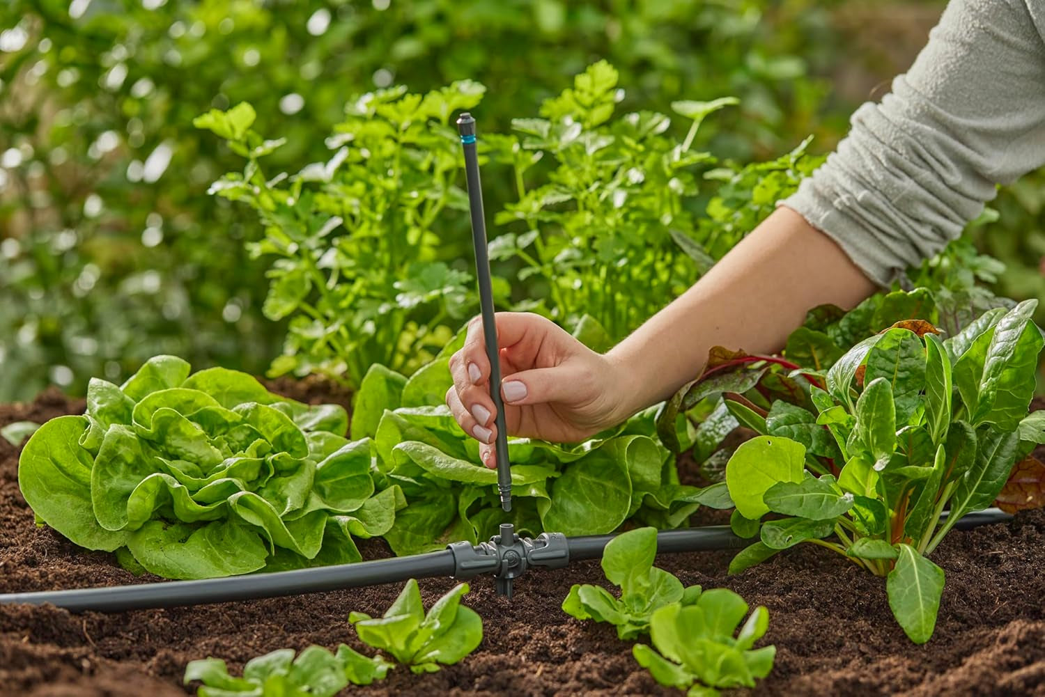 Gardena Micro-Drip-System T-kus pro rozprašovací trysky: Spojení mezi 13 mm trubicí a rozprašovací tryskou, automatické zavlažování rostlin, rychlé a snadné připojení, opakovaně použitelné (13206-20)