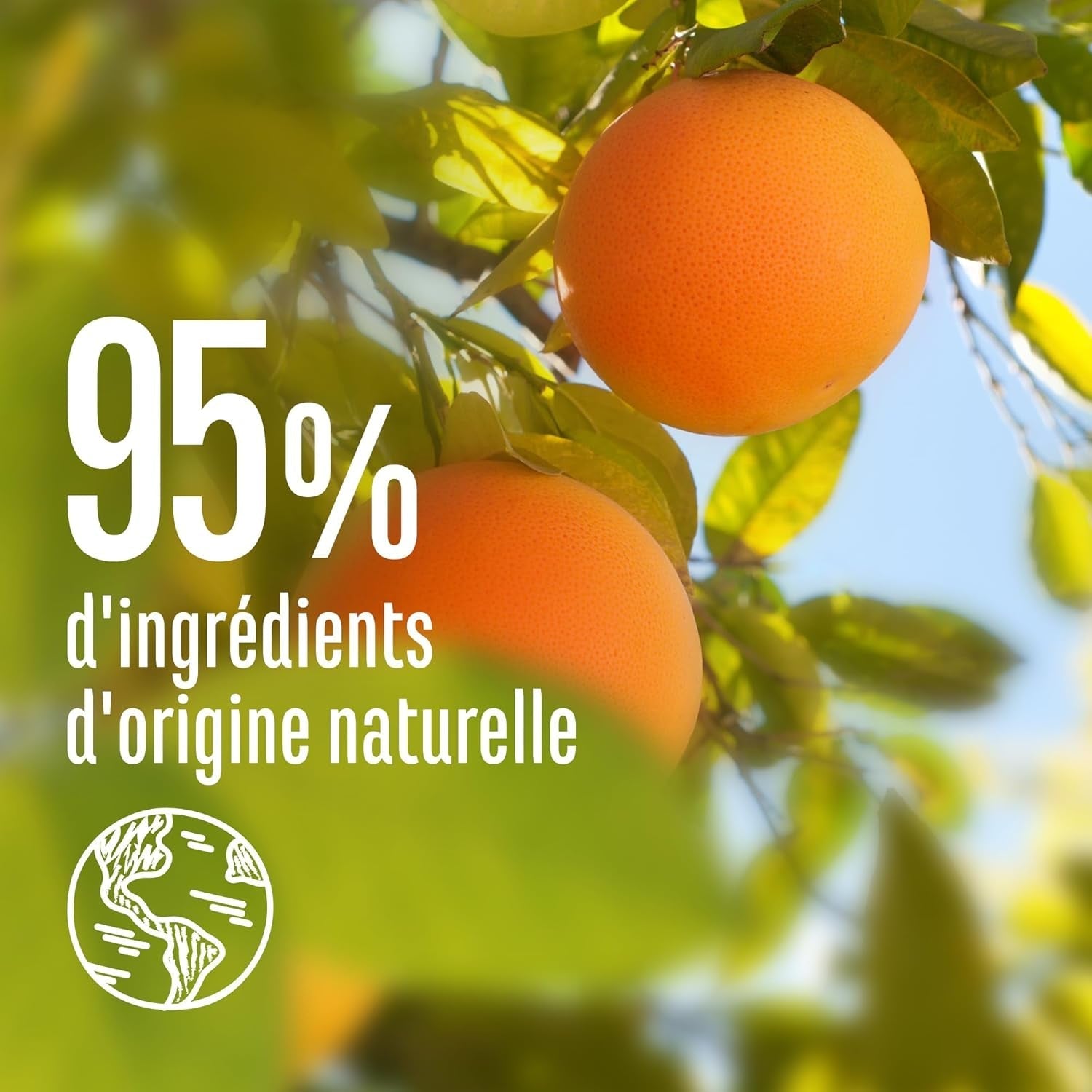 Le Petit Marseillais | Rozčesávací sprej s grapefruitem a jasmínem (200ml lahvička) - bezoplachová péče pro rozčesávání vlasů - 95% přírodní a bez silikonů Přípravky na rozčesávání vlasů Naty Shop