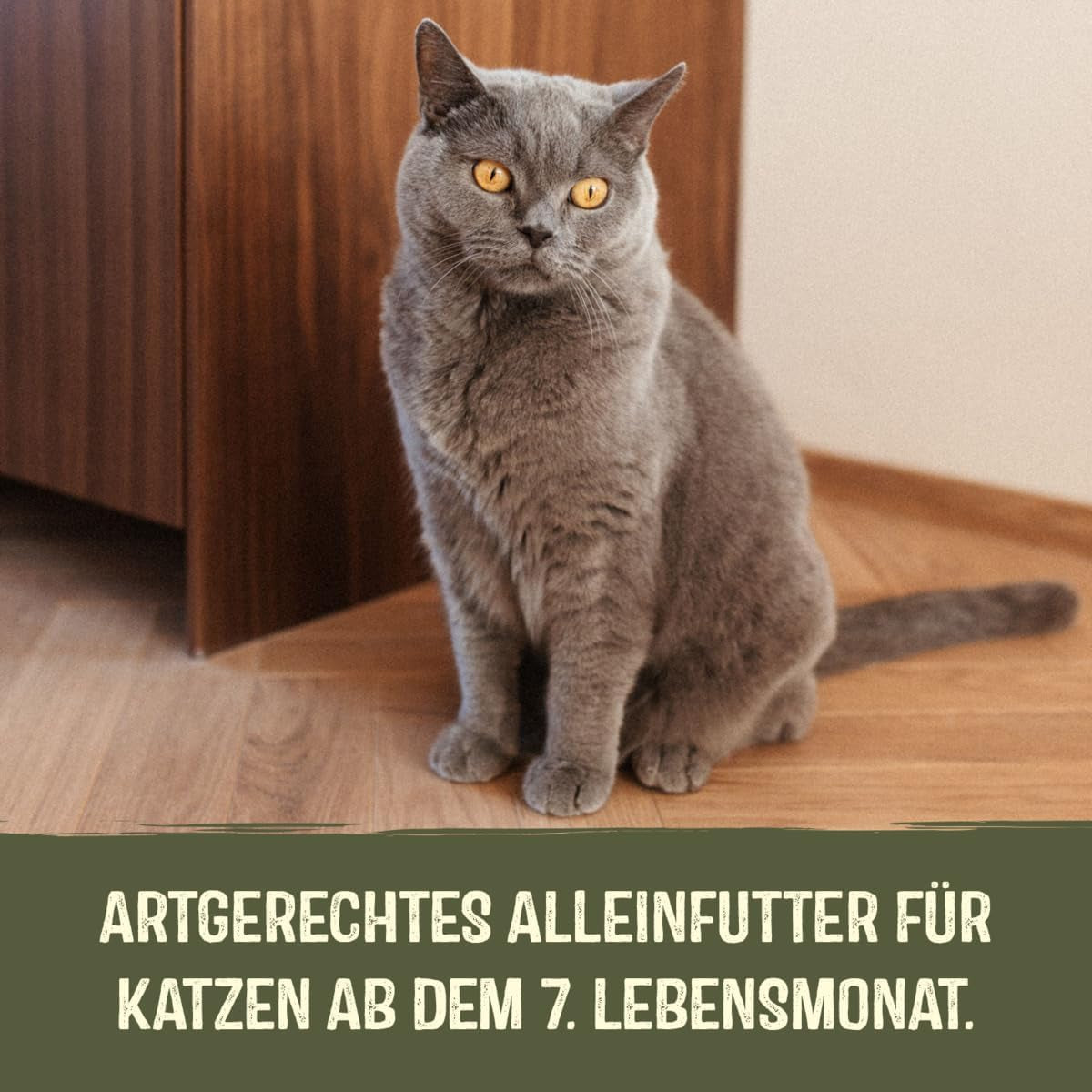 GimCat Near Nature Trial Mix 12 Pack - Bezobilné krmivo pro kočky od 7 měsíců s recepturou vhodnou pro daný druh a kořist - 12 sáčků (12 x 85 g)