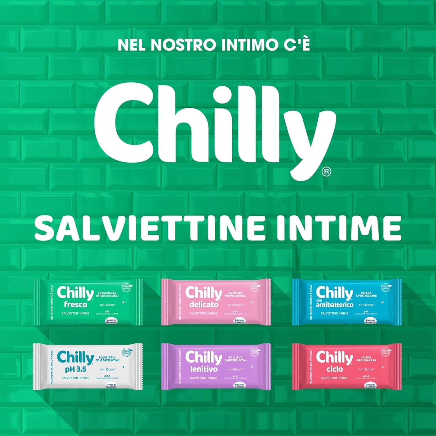 Cyklické čisticí ubrousky, hygienické ubrousky Intima, 100% biologicky odbouratelné, ideální pro domácí venkovní použití, PH 3,5, klinicky testováno, 12 kusů