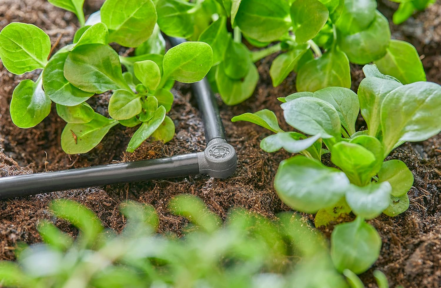 L-kus pro Gardena Micro-Drip 4,6 mm (3/16 palce): Pro změnu směru distribuce a odkapávacích vedení o 90 stupňů, instalace bez zauzlování, snadná a flexibilní technologie připojení (13212-20)