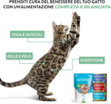 Tuňák obecný v želé, kompletní mokré krmivo pro kočky, v konzervě, s přidanými vitamíny, 100% přírodní, 6 x 85 g