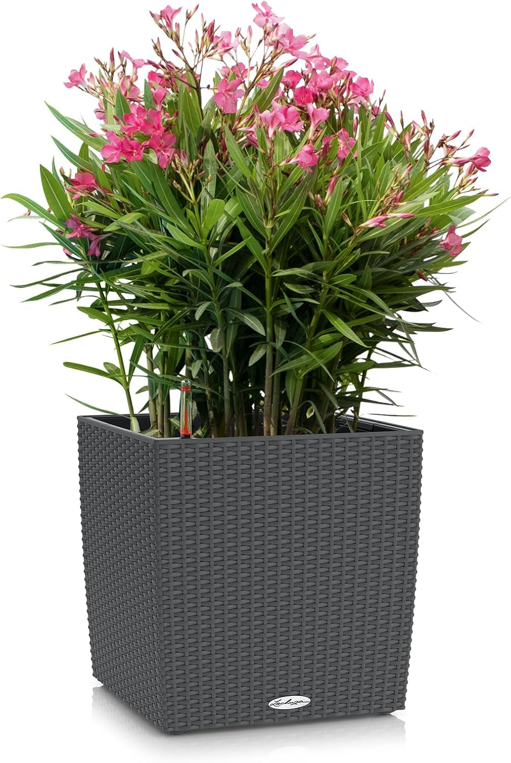 LECHUZA CUBE Chata 30 žula 15372