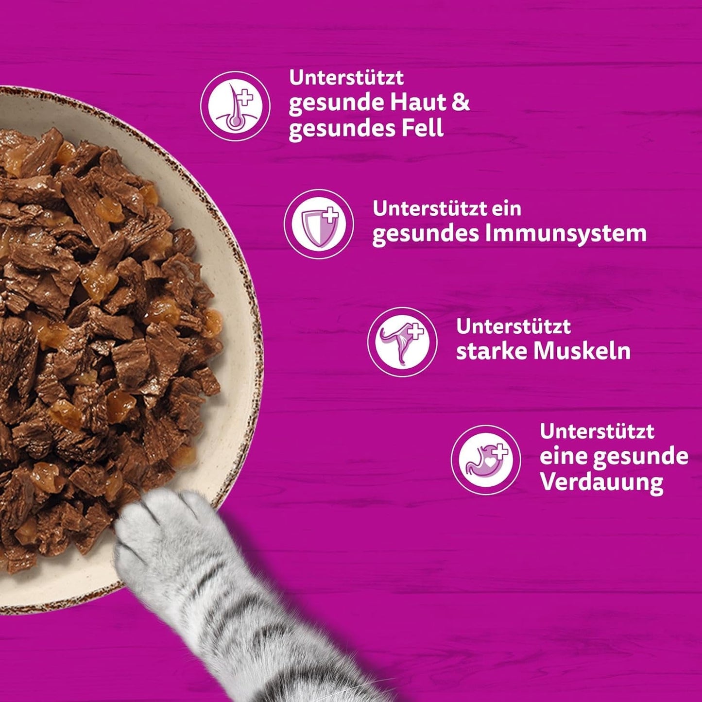 WHISKAS PURE DELIGHT Mokré krmivo v želé 24 x 85 g Klasické ragú (4 balení) 48 porcovaných sáčků