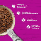 WHISKAS PURE DELIGHT Mokré krmivo v želé 24 x 85 g Klasické ragú (4 balení) 48 porcovaných sáčků