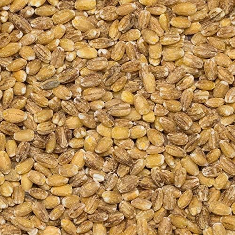 Wholefood Earth perličkový ječmen - bez GMO - vegan - bez mléka - bez přidaného cukru, 2 kg