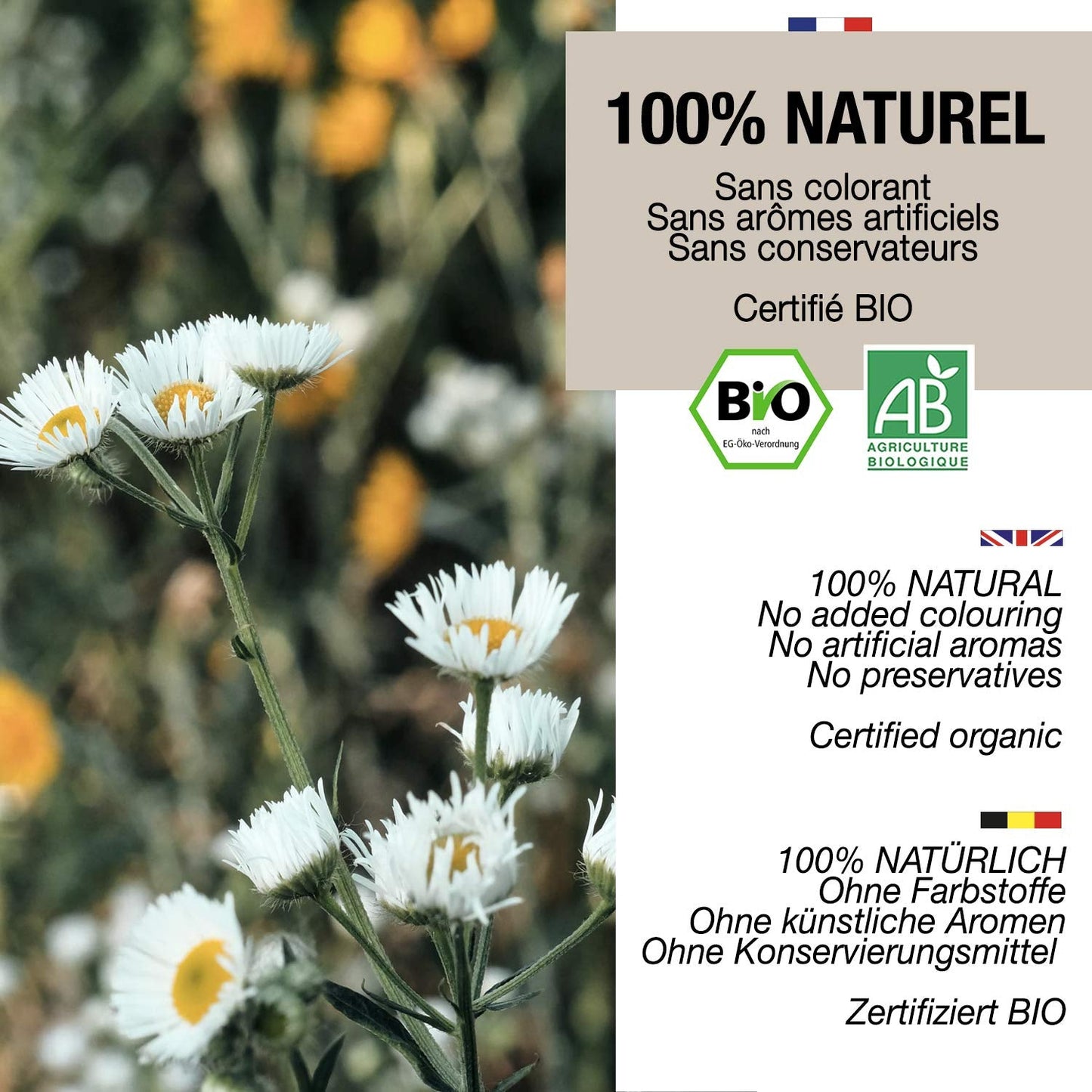 ORIGEENS Bio čaj z květů heřmánku z Evropy, 100 g | Sypaný čaj, bio čaj na spánek a trávení | Heřmánek německý | Certifikováno a zabaleno v Německu