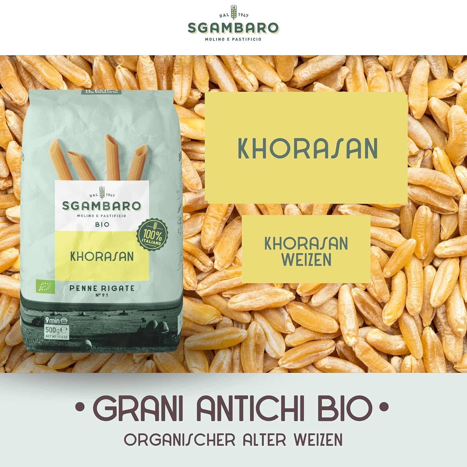 Organické těstoviny Penne Rigate N.91 - 500 g z pšenice Khorasan - starověká pšenice, bohatá na bílkoviny, 100% pěstovaná v Itálii - všestranná v kuchyni a bohatá na živiny
