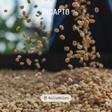 Incapto Spezialitäten-Kaffeebohnen | Kolumbijský jediný původ | Espresso 100% Arabica | Speciální káva 84 bodů SCA | Tradiční Geröstete Bohnenkaffee | Plantage Huila, Cadefihuila, 1kg