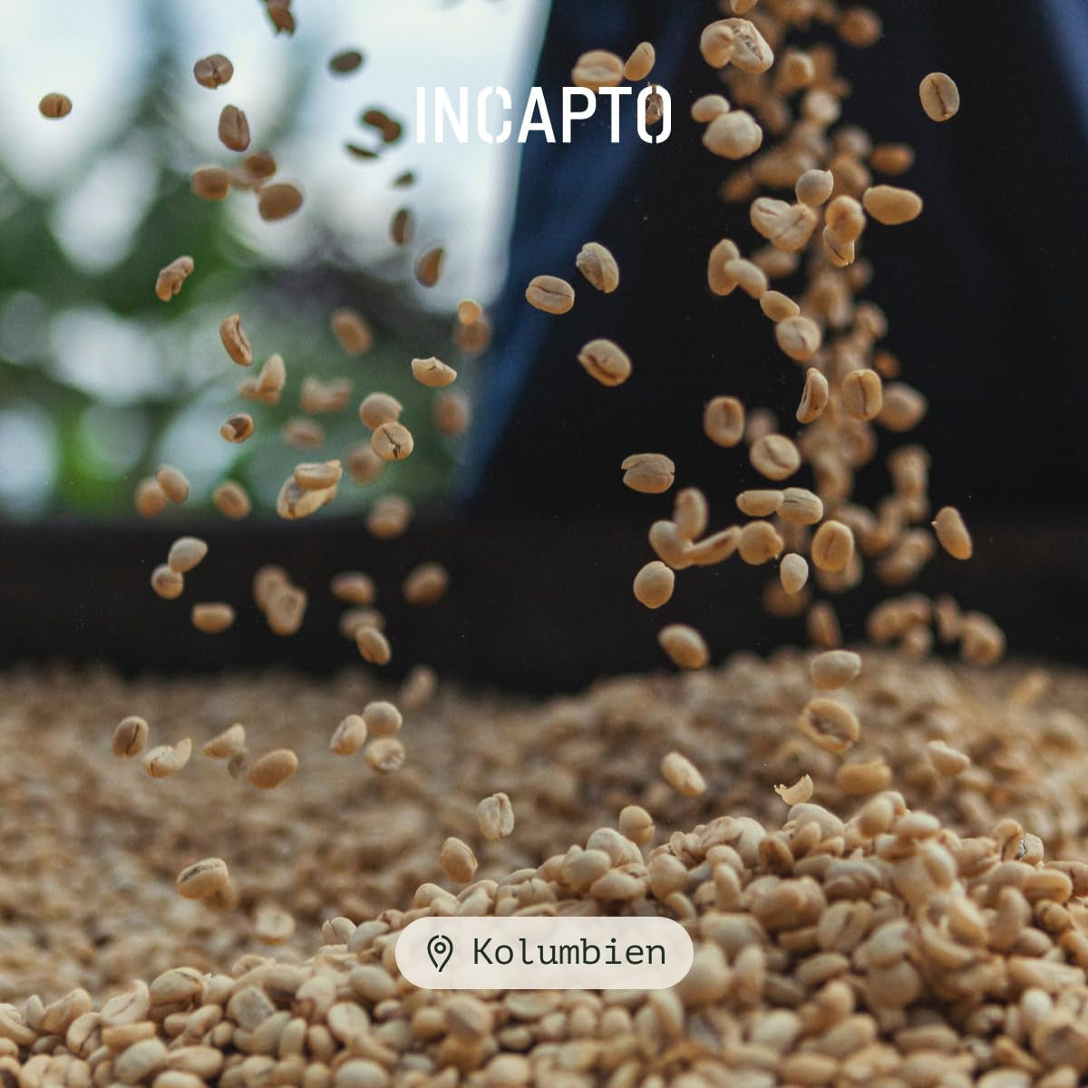 Incapto Spezialitäten-Kaffeebohnen | Kolumbijský jediný původ | Espresso 100% Arabica | Speciální káva 84 bodů SCA | Tradiční Geröstete Bohnenkaffee | Plantage Huila, Cadefihuila, 1kg