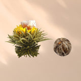 Feelino Elegant 6dílná smíšená krabička - Feelino White Tea Flowers v nádherné ochutnávkové a dárkové krabičce se 6 různými bílými čajovými růžemi, jednotlivě vakuově balené, balení 1 kus