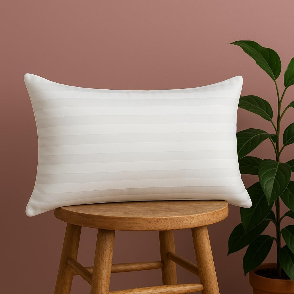 Trendy domácí dekorativní polštářová vložka Hypoalergenní bederní opěrka Domácí venkovní pohovka Lze prát v pračce 12" x 20"