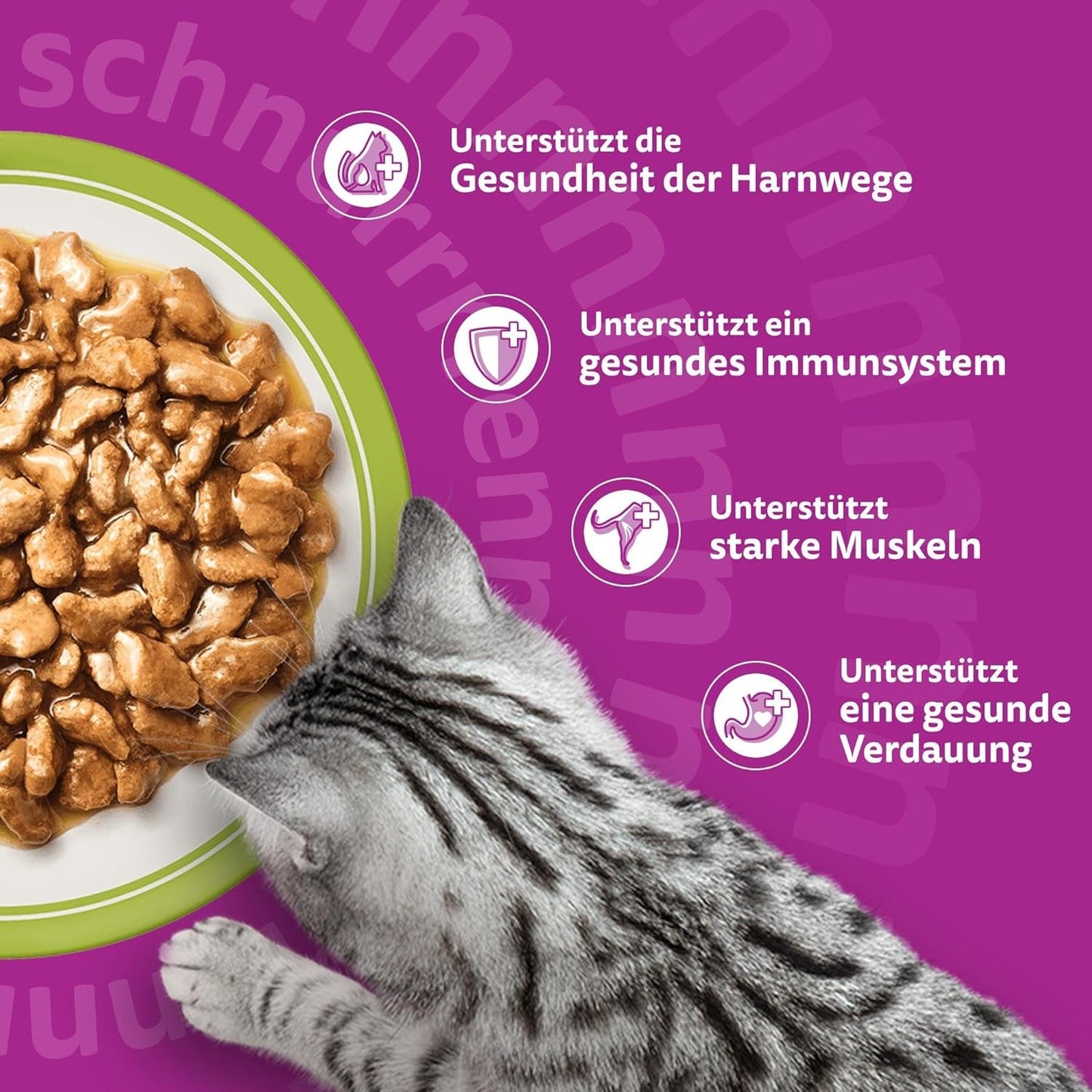 Whiskas Senior 7+ mokré krmivo Mixed Selection in Jelly, 84 sáčků, 84x85g (1 velké balení) - Vysoce kvalitní mokré krmivo pro kočky od 7 let