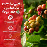 Senseo Pads Café Latte Vanilla, 5 x 8 Getränke, 40 kaffeepadů