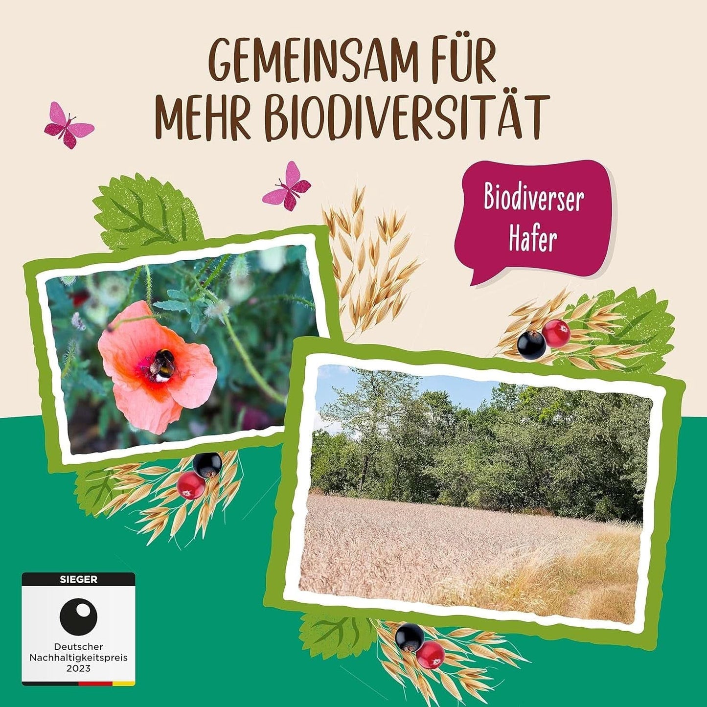 Allos, neslazené bobulovité müsli, balení 5 x 500 gramů Cereals Naty Shop